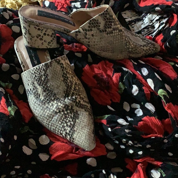 Steven by Steve Madden Simone snake print mules - Picture 2 of 8